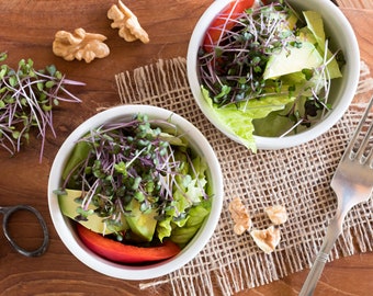 May include: Two white bowls filled with a salad of red and green sprouts, avocado, and red bell pepper. The bowls are on a wooden surface with a burlap placemat and walnuts.