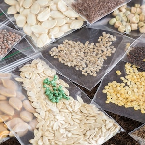 Vegetable Assortment Seed Starter Kit / Refill, Vegetable Kit, Vegetable Seeds, Non-GMO