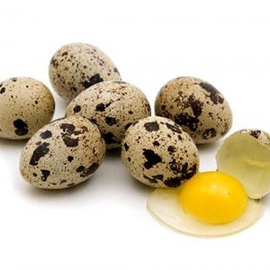 May include: A collection of speckled quail eggs, with one cracked open to reveal a bright yellow yolk and clear egg white. The eggs are beige with dark brown spots, set against a white background.
