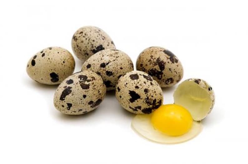 May include: A collection of speckled quail eggs, with one cracked open to reveal a bright yellow yolk and clear egg white. The eggs are beige with dark brown spots, set against a white background.