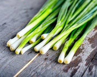 50+ Bunching Tokyo Long White Onion Seeds, Onion Seeds, Vegetable Seeds, Non-GMO, Heirloom