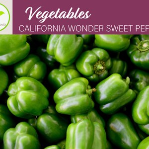 50+ California Wonder Sweet Pepper Seeds, Bell Pepper, Vegetable Seeds, Non-GMO, Heirloom
