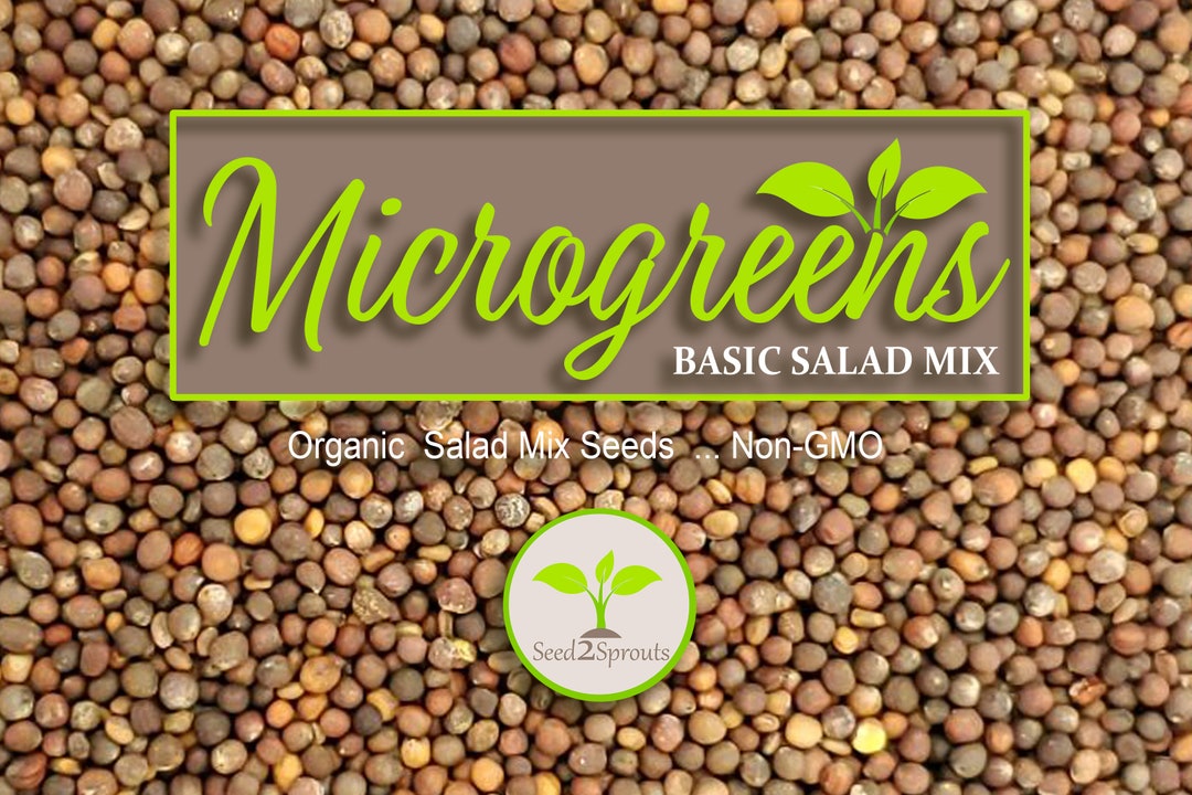 Basic Salad Mix Microgreen Seeds 6 10 Times More Nutrious Etsy