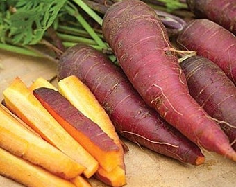 100+ Cosmic Purple Carrot Seeds, Carrot Seeds, Vegetable Seeds