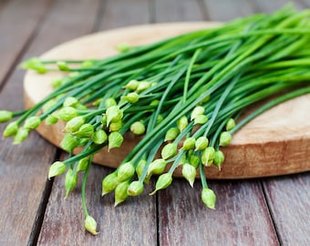 50+ Garlic Chives Seeds, Herb Seeds, Non-GMO, Heirloom