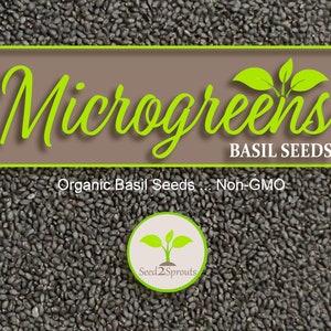 Basil Microgreen Seeds, 6 - 10 Times More Nutrious Than Vegetables, Genovese Basil, Microgreen,, Non-GMO, Herb Seeds, Heirloom, Hydoponic