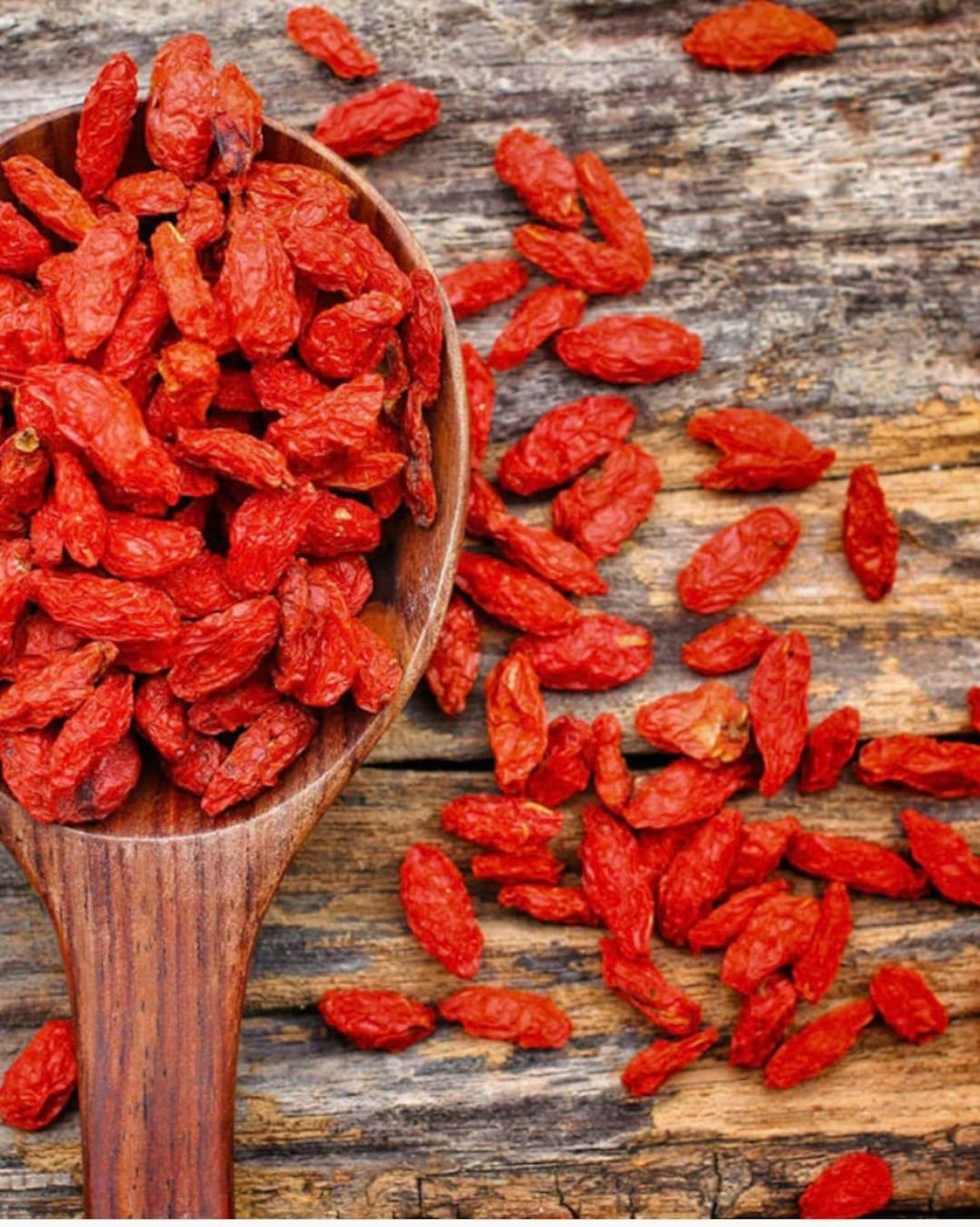 Más de 15 semillas de bayas de Goji, sin OGM - Etsy México, image size:1080x1352