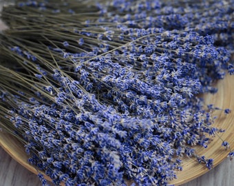 50+ Munstead Lavender Seeds, Herb Seeds