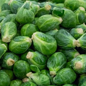 50+ Brussels Sprouts Seeds, Long Island Improved Brussels Sprouts, Vegetable Seeds, Non-GMO, Heirloom