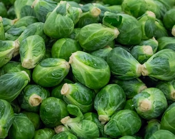 50+ Brussels Sprouts Seeds, Long Island Improved Brussels Sprouts, Vegetable Seeds, Non-GMO, Heirloom