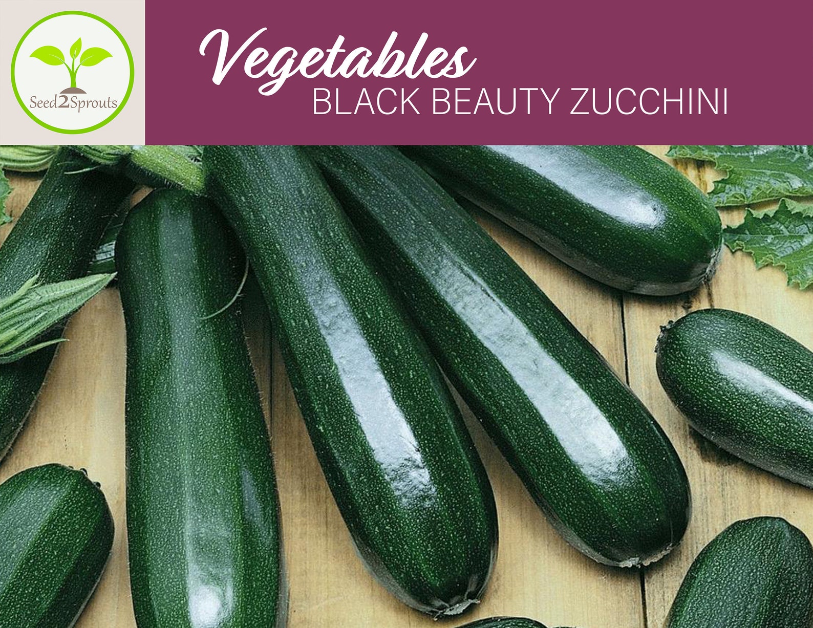 кабачок мечта хозяйки (седек) 2,0г. кабачок скворушка-цукини. кабачок сорт белоплодный. сорта семян кабачков для открытого грунта. семена цукини лучшие сорта для открытого грунта.