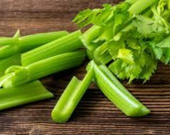 150+ Utah 52-70 Celery Seeds, Vegetable Seeds, Non-GMO, Heirloom