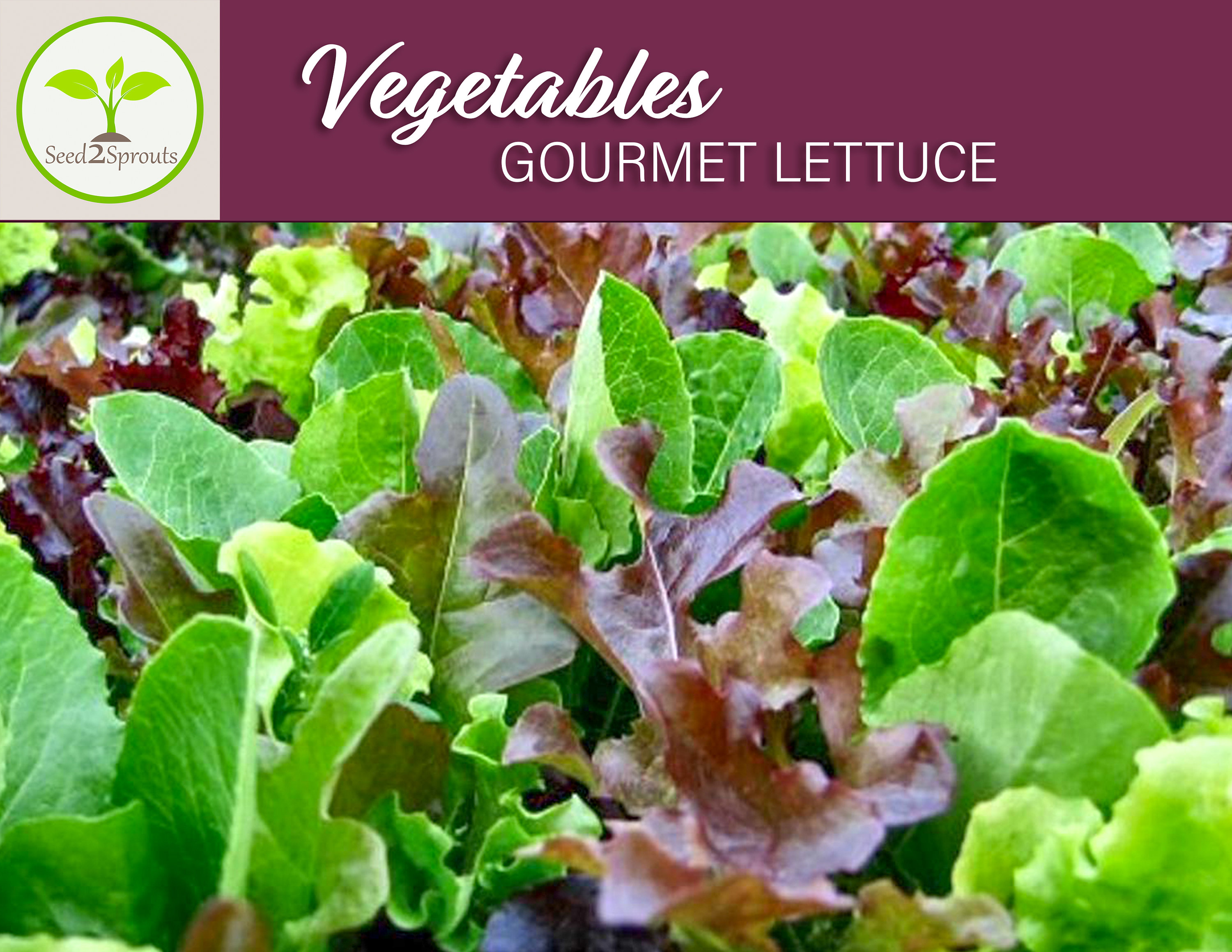 GreenCertified Free shipping service Personality