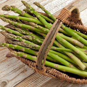 50+ Mary Washington Asparagus Seeds, Vegetable Seeds, Non-GMO, Heirloom
