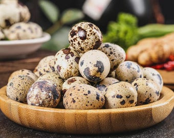 36+ Assorted Jumbo Coturnix Quail Eggs