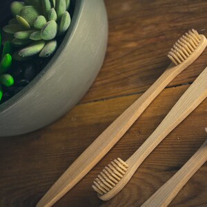 Custom Toothbrush, Bamboo Tooth Brush, Wood Toothbrush, Eco Friendly ...