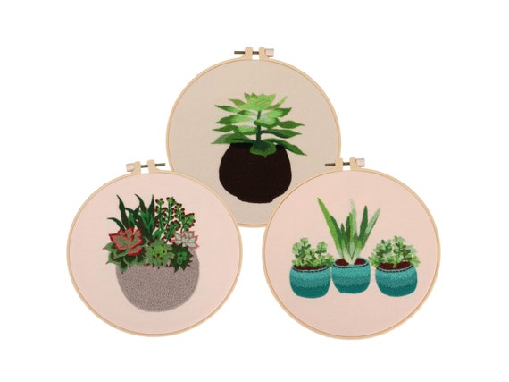 3 Pack Beginner Embroidery Kit for Adults Flowers and Succulents Embroidery  Kit DIY Hand Embroidery Full Kit Cross Stitch Set 