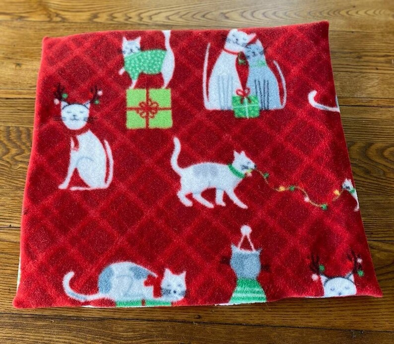 catnip bed