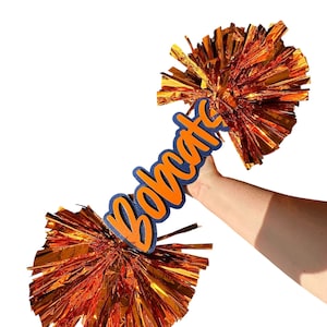 Name Cheerstick  -Game Day Signs - Pom Pom Sign - Custom Cheer Stick - Personalized Name Cheer Sign - Sport Mom Sign - Pom Poms