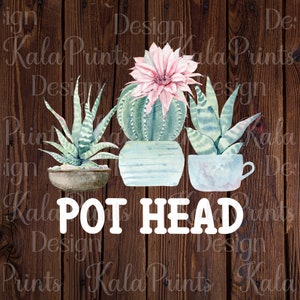 May include: A watercolour illustration of three potted plants on a wood background. The plants are a cactus with a pink flower, a succulent with green and white striped leaves, and another succulent with green and white striped leaves. The text "POT HEAD" is written in white letters below the plants.