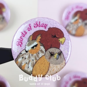Può includere: Una collezione di bottoni rotondi e glitterati con illustrazioni di uccelli. Il bottone centrale presenta un gufo, un falco e un uccello rosso con il testo "Birds of Slay" e "Buddy Club". I bottoni sono su una superficie rosa.