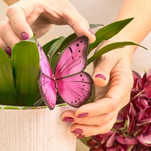 May include: A pink butterfly decoration with black detailing is placed on a green plant in a white pot. The butterfly has a delicate design and is held by hands with painted nails. A bouquet of burgundy flowers is in the background.