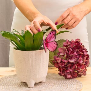 Puede incluir: Una mariposa rosa decorativa se coloca sobre una planta verde en una maceta crema con patas. Un ramo de flores rojo oscuro est&aacute; cerca. La escena est&aacute; ambientada sobre una mesa de madera con un mantel individual redondo tejido.