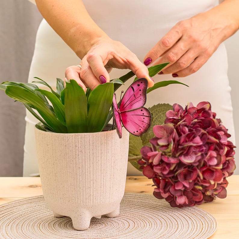 Puede incluir: Una mariposa rosa decorativa se coloca sobre una planta verde en una maceta crema con patas. Un ramo de flores rojo oscuro est&aacute; cerca. La escena est&aacute; ambientada sobre una mesa de madera con un mantel individual redondo tejido.