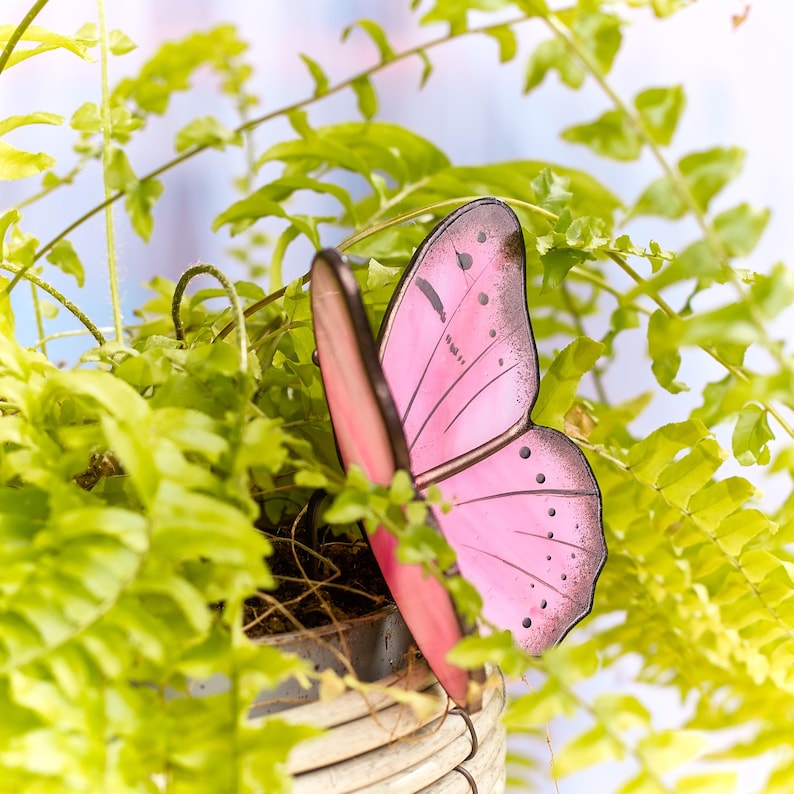 Puede incluir: Una decoraci&oacute;n de mariposa rosa con detalles negros, ubicada entre follaje verde. La mariposa tiene un dise&ntilde;o delicado y es parcialmente visible, agregando un toque de decoraci&oacute;n inspirada en la naturaleza. El fondo es una suave mezcla de verde y azul.