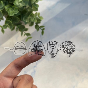 SLP sticker | Speech Therapist Sticker | SLP grad gift | Cf Slp | Speech Pathologist Sticker | Anatomy Sticker| slp gift| gift for SLP