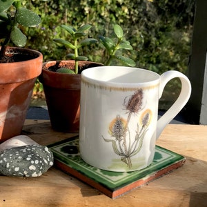 Teasel Small Bone China Mug: Botanical Hedgerow Illustration Tea Coffee Cup