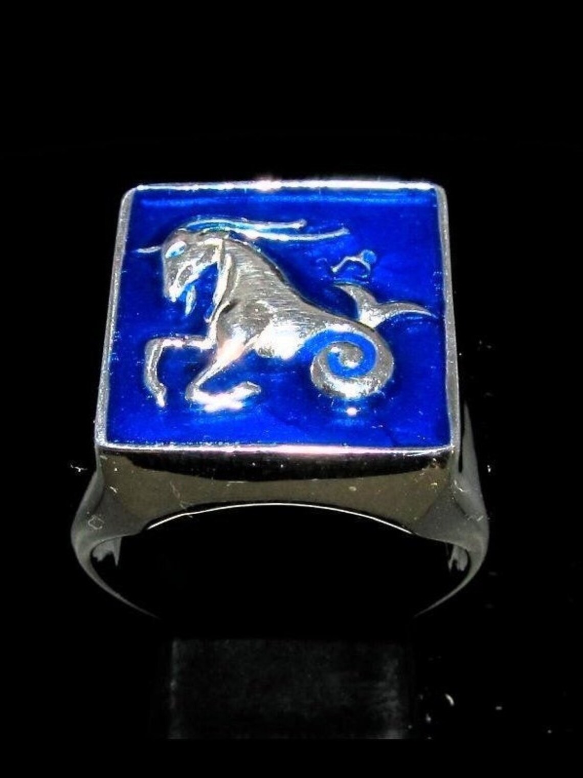 Sterling silver Zodiac ring Capricorn Star sign December Etsy