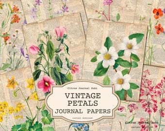 Vårskräpjournal, vintageblommor, blomjournal, botanisk skräpjournal, utskrivbar journal, vildblomsjournal, dekorativ journal