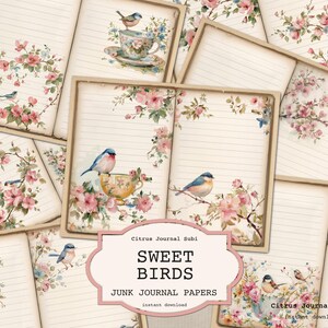 Floral Junk Journal Kit, Shabby Chic Vintage Seiten, Vögel & Teetassen Liniertes Papier, Cottagecore Garten Scrapbook, Romantisches Journal