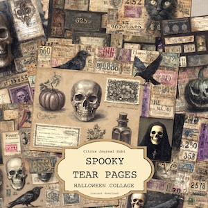 Może przedstawiać: Vintage kolaż o tematyce Halloween, z czaszkami, krukami i dyniami. Obraz zawiera antyczne bilety i znaczki. Tekst na obrazie brzmi "SPOOKY TEAR PAGES HALLOWEEN COLLAGE".
