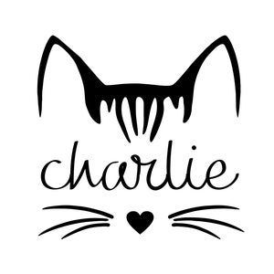 Cat Decal | Personalized Name Kitty Decal | Cat Lover Sticker | Kitty Name Decal for Tumbler | Cat Decal for Car | Laptop Decal Skin