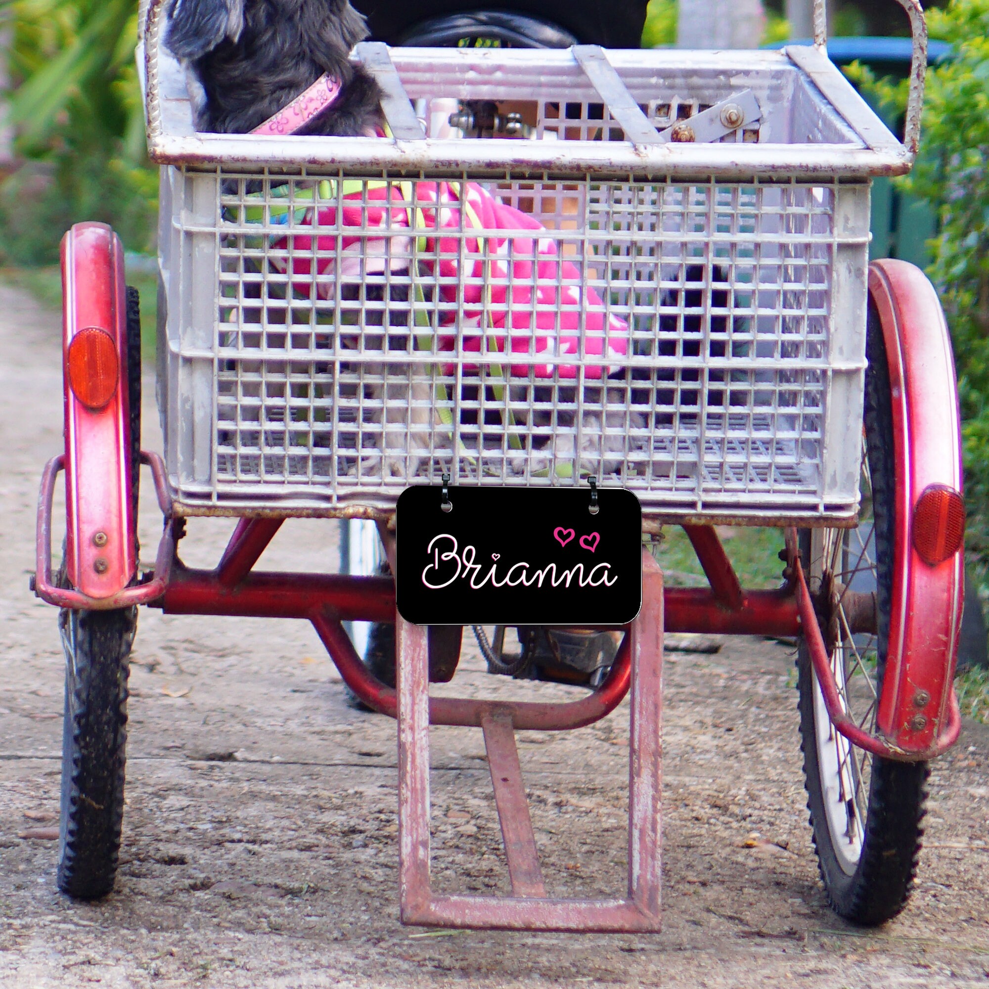 Customized Bicycle License Plate Personalized Bike Name Etsy