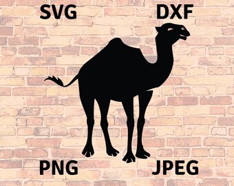 Download Desert Animal Svg Etsy