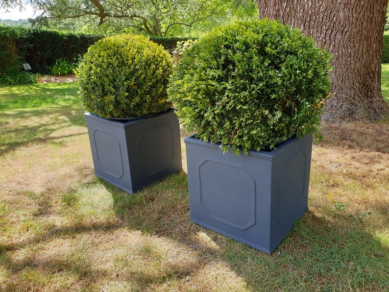 Large Outdoor Plant Pot Chelsea Garden Planters The Pheyne Etsy