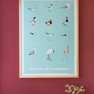 Pájaros de Camarga, Cartel de pájaros de Camarga, Ilustración de aves, Impresión de pájaros, Cartel de pájaros, Ilustración de pájaros de Camarga