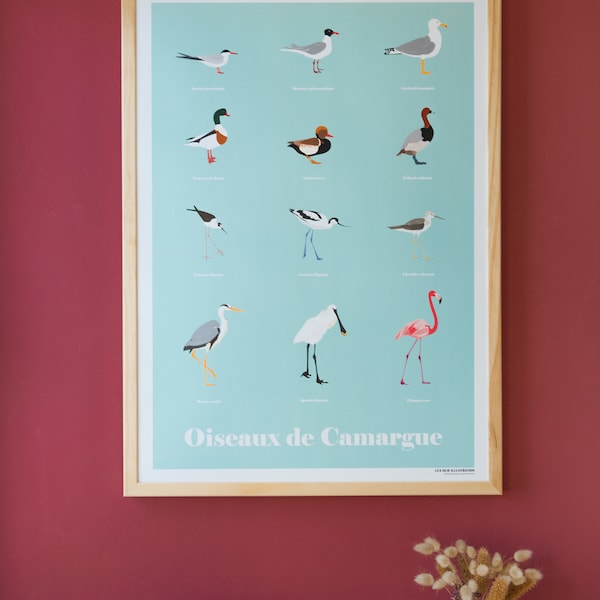 Oiseaux de Camargue, Affiche oiseaux de Camargue, Illustration oiseaux, Birds Print, Birds Poster, Camargue birds illustration