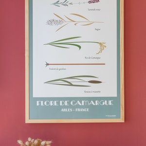 Flora della Camargue, Poster Flora della Camargue, Illustrazione flora camargue, Camargue Flora Print, Camargue Flora Poster, Flora illustrazione