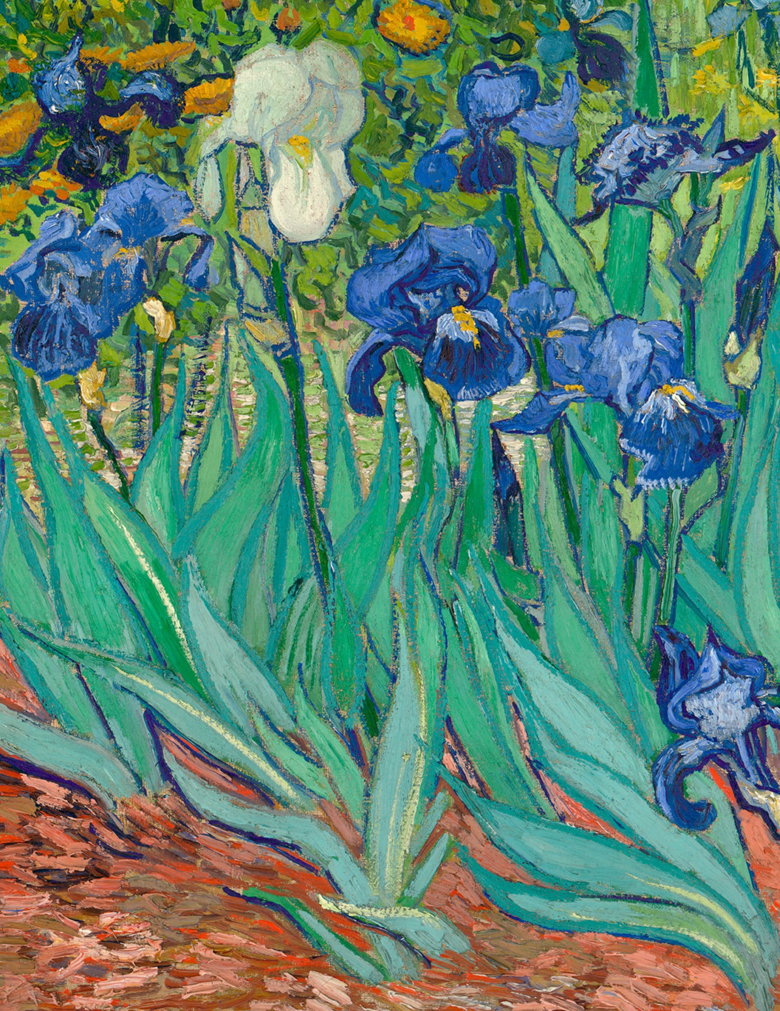 Vincent van Gogh Irises 1889. Canvas Print Giclee Wall Art Etsy