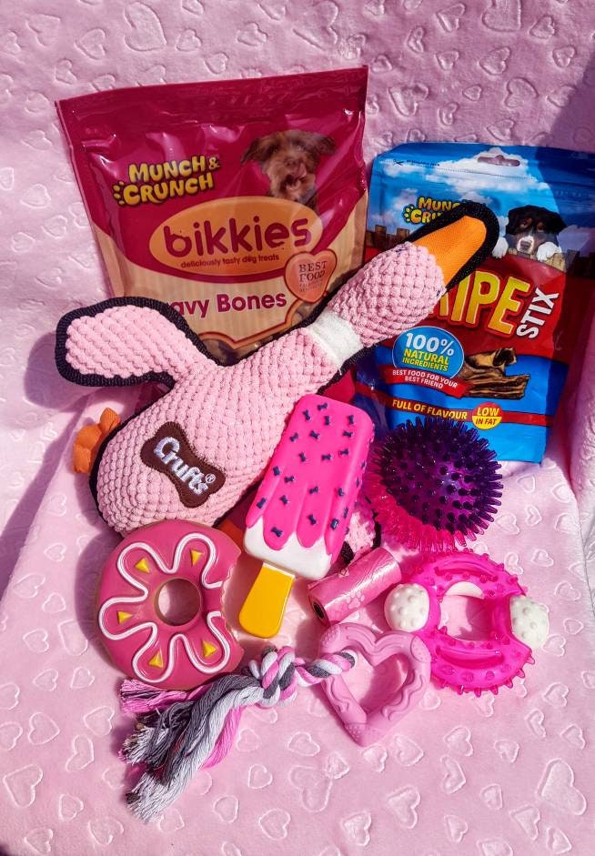 Surprise Dog Hamper Puppy Gift Box Toys Etsy