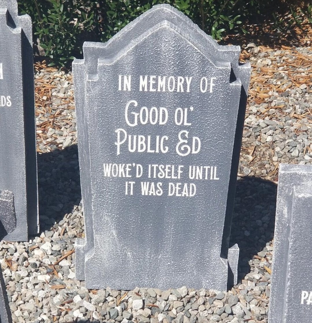 Funny Halloween Tombstone: 'good Ol' Public Ed' LED Lit Graveyard