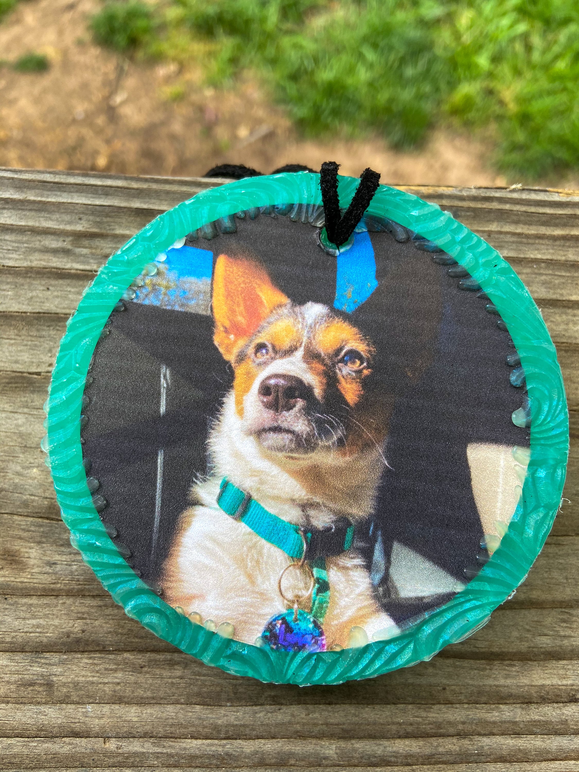 Personalized Pet Car Freshie // Car Freshener Car Aromies Etsy