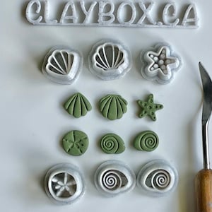 Könnte beinhalten: Ein Set mit neun weißen Kunststoff-Polymer Clay-Ausstechern in Form von Muscheln, Seesternen und Spiralen. Die Ausstecher sind in drei Reihen auf einer weißen Oberfläche angeordnet. Es gibt auch neun grüne Polymer Clay-Formen, die mit den Ausstechern ausgeschnitten wurden.