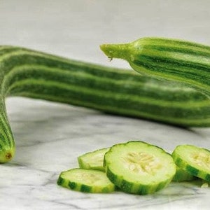 Painted Serpent Striped Long Armenian Cucumber Rare Organic Non-GMO 10 Seeds 1128 image 1