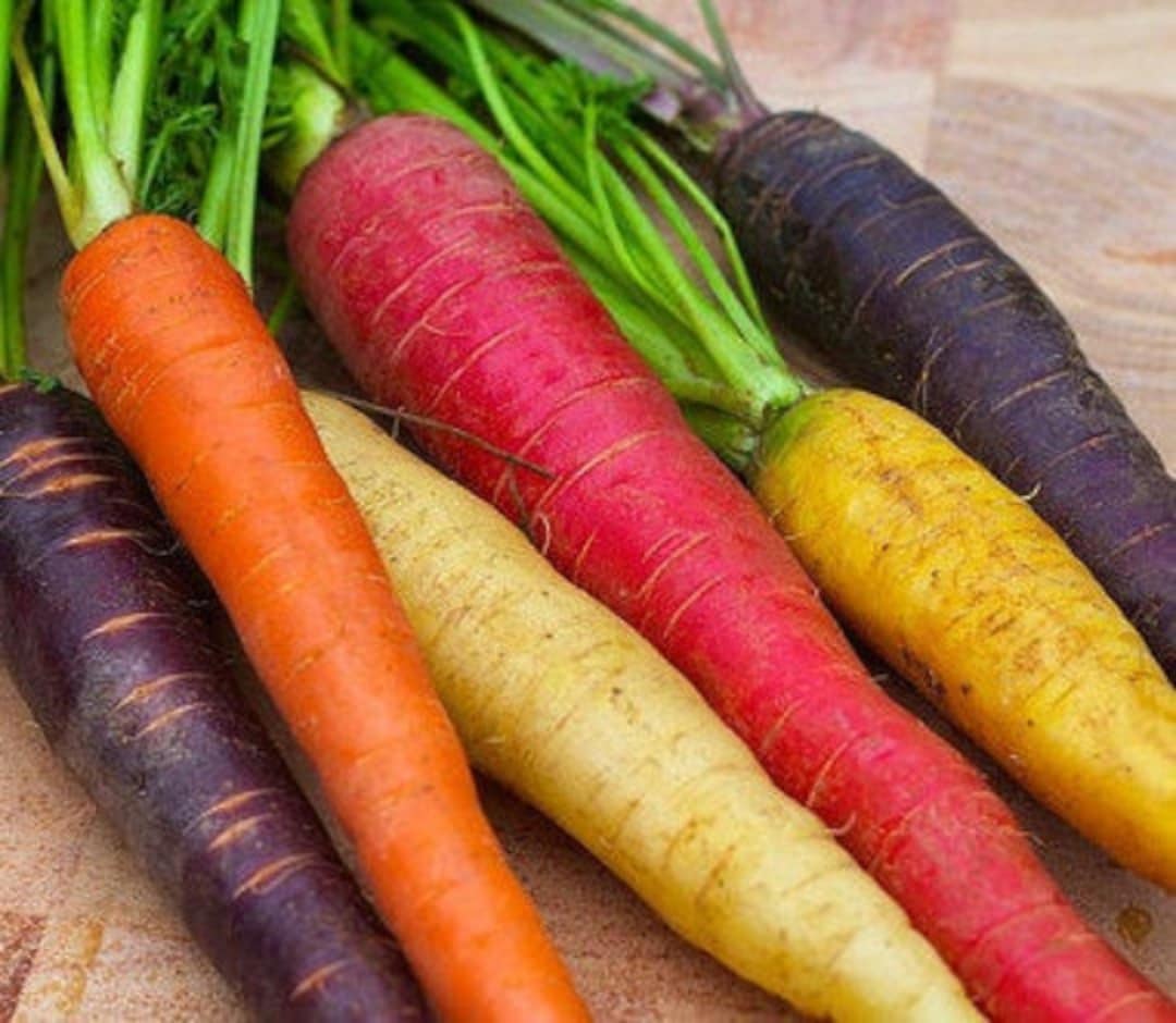 Rainbow Carrot Seed Mix Non GMO Organic 50 Seeds 1143 Etsy