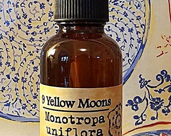 9yellowmoons Monotropa uniflora Ghost Indian Pipe Corpse Plant Rare Medicinal Nervine 30mL Tincture